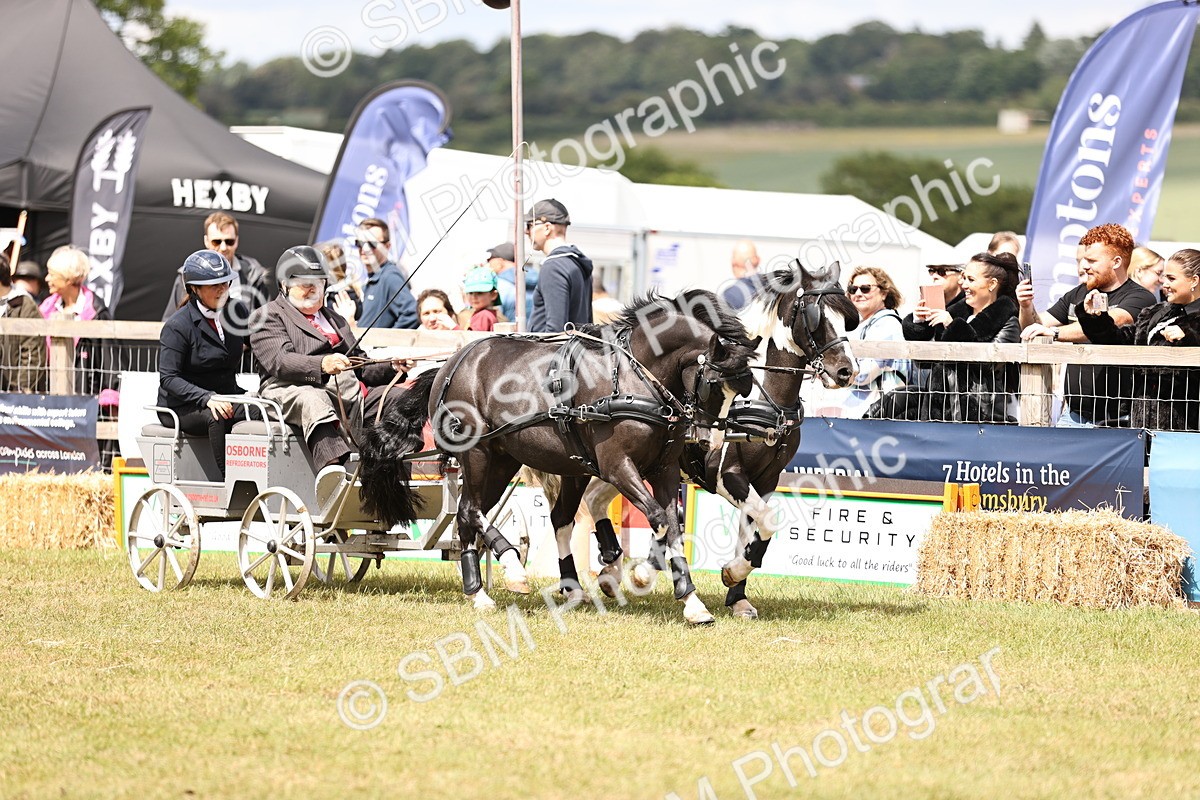 SBM_16135 - Class 91 - Scurry  exceeding 122cms