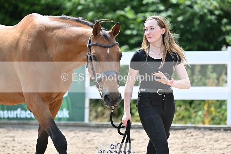 240717A-144616-02276 - Trot Up 2pm to 3pm - This folder is not in time order