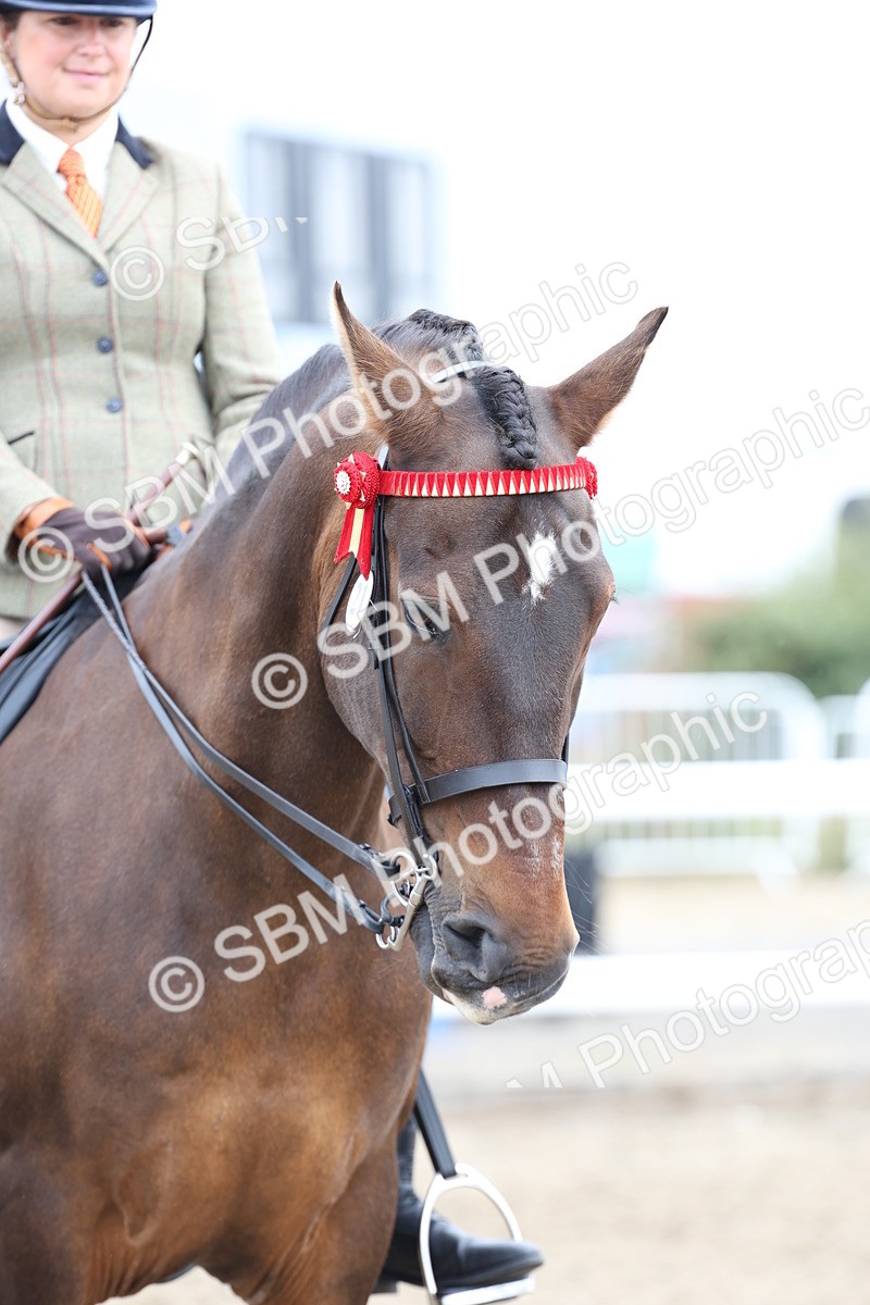 SBM_01434 - Class 51 - Best Turned Out Ridden