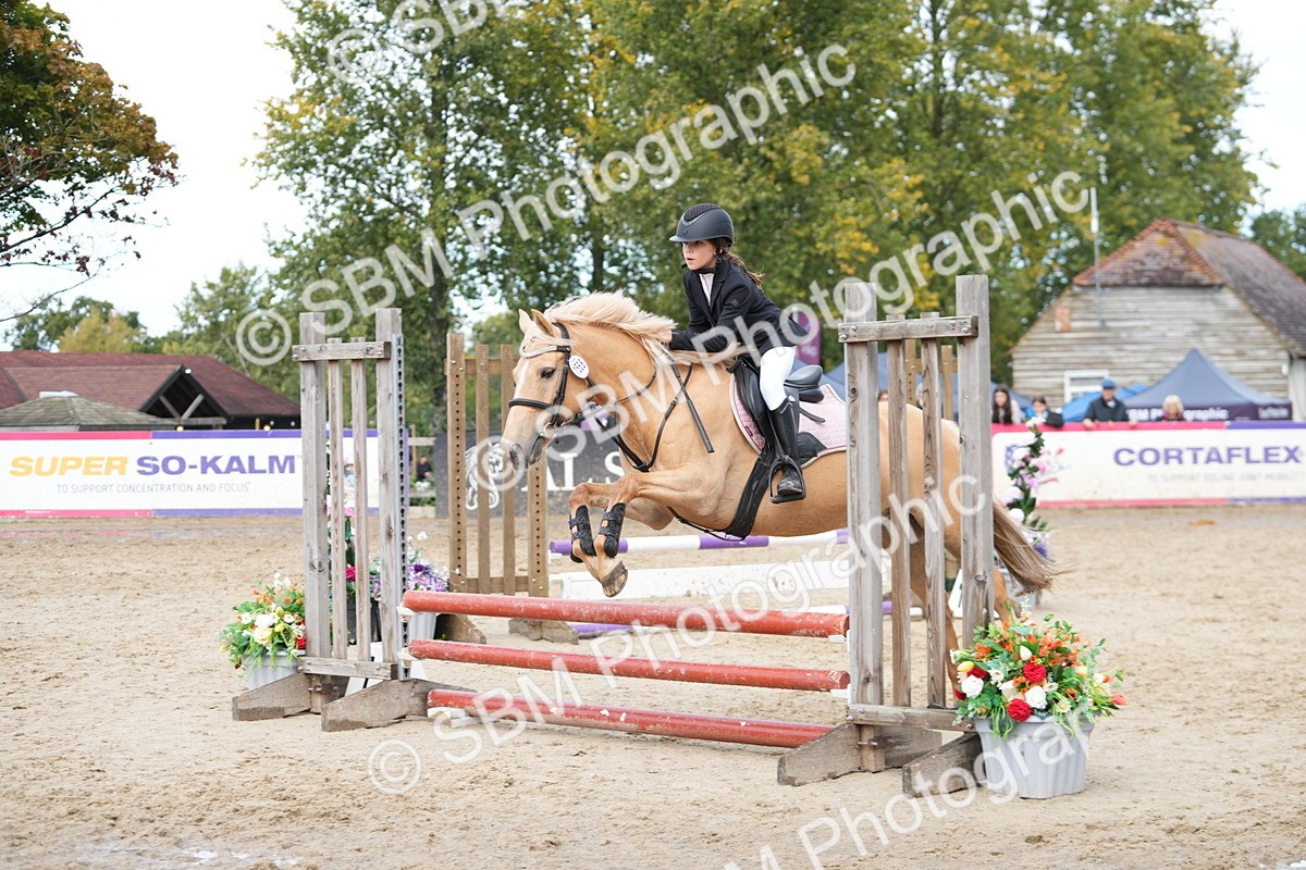 SBM_40036_J6 Junior Pony 55cm Championship - Christina Spiteri