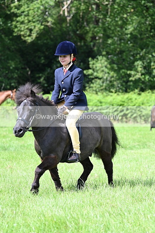 WJ7_1269 - Class 11 Condition & Turnout