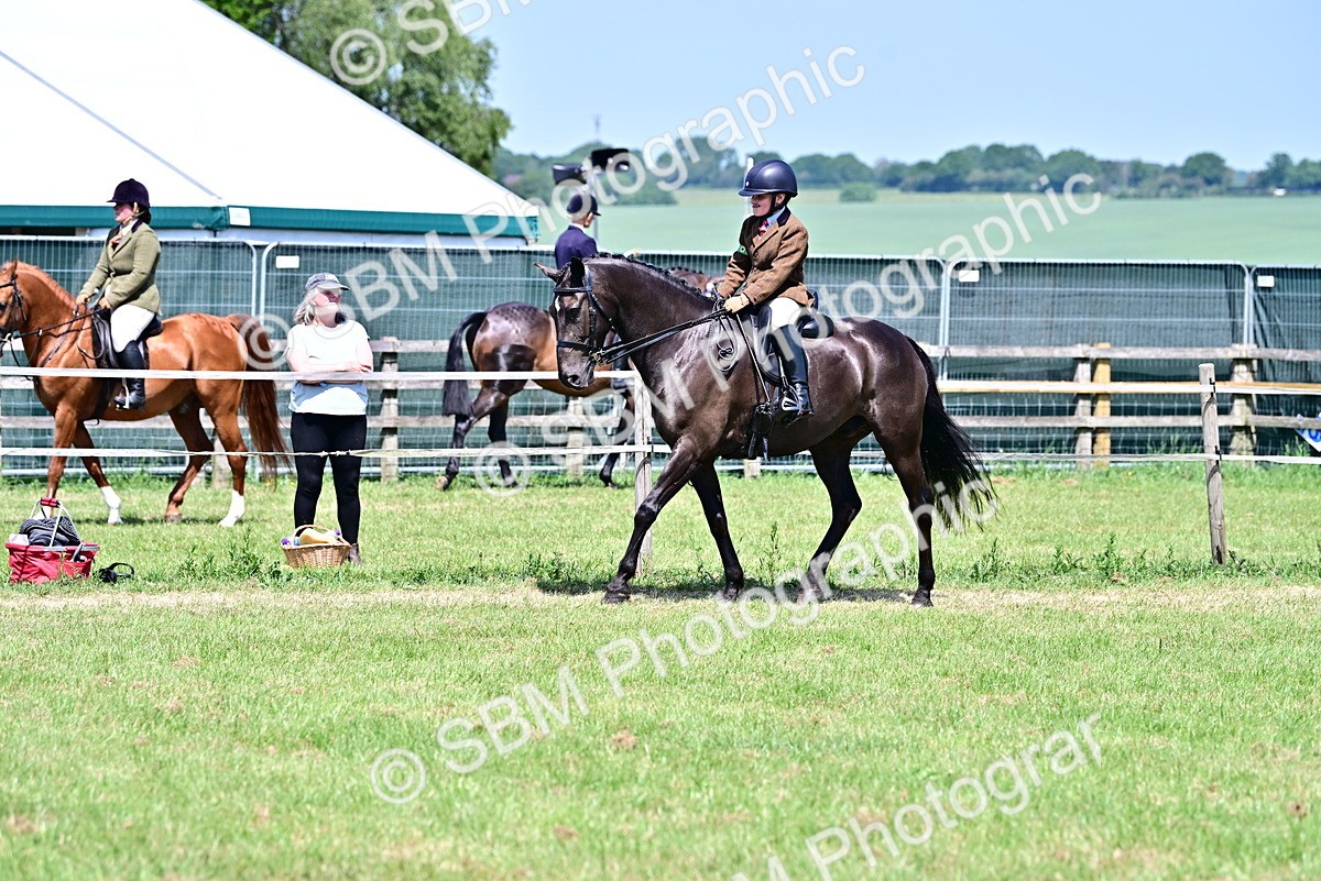 SBM_15397 - Class 95-97 - BSPS LHS Performance Ponies