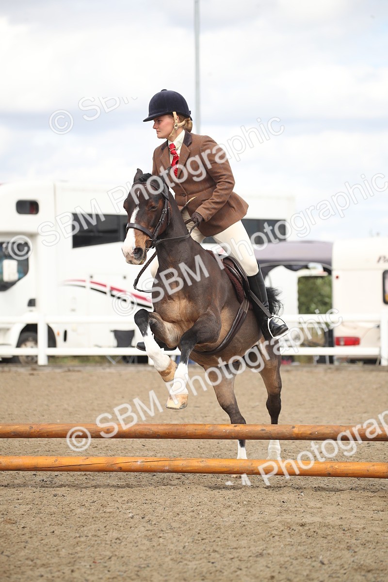 SBM_15262 - Class 506b - Working Veteran - 50cm (20+)