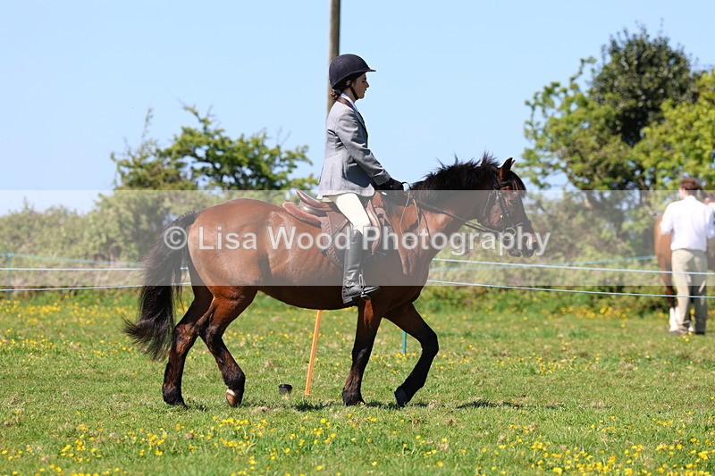 3E7A0138 - Class 4: Best Combination Junior