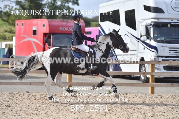 BPP_2591 - DERBY CLASS 8 - 90CM