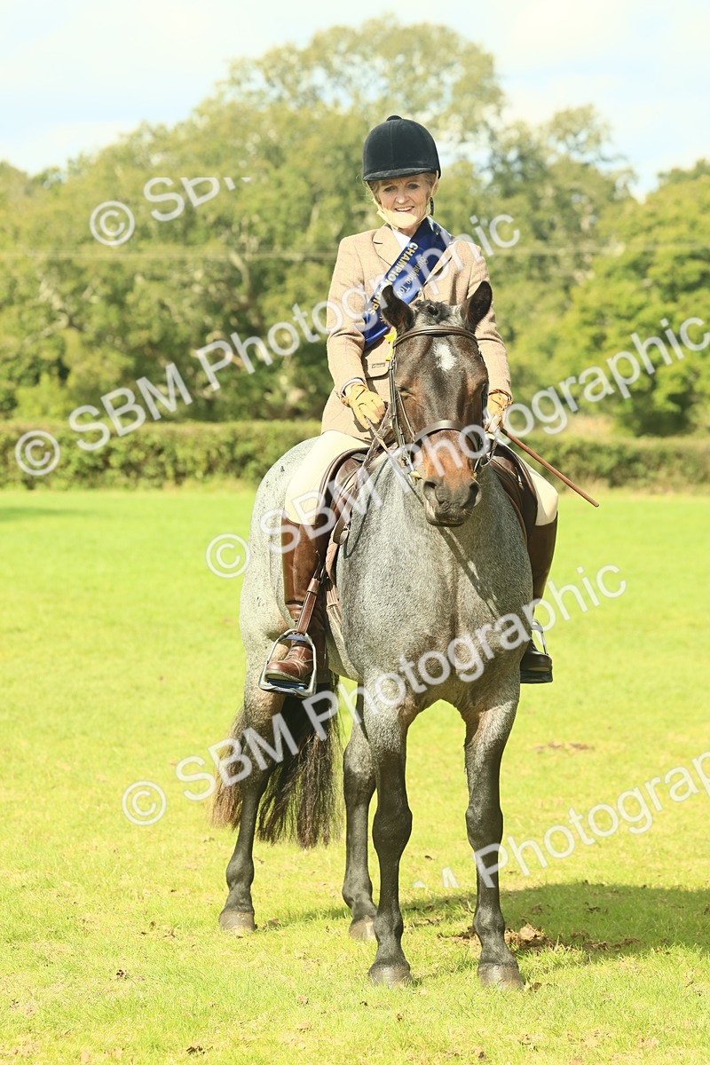 SBM_62686 - S63 - Other Coloured Horse Ridden