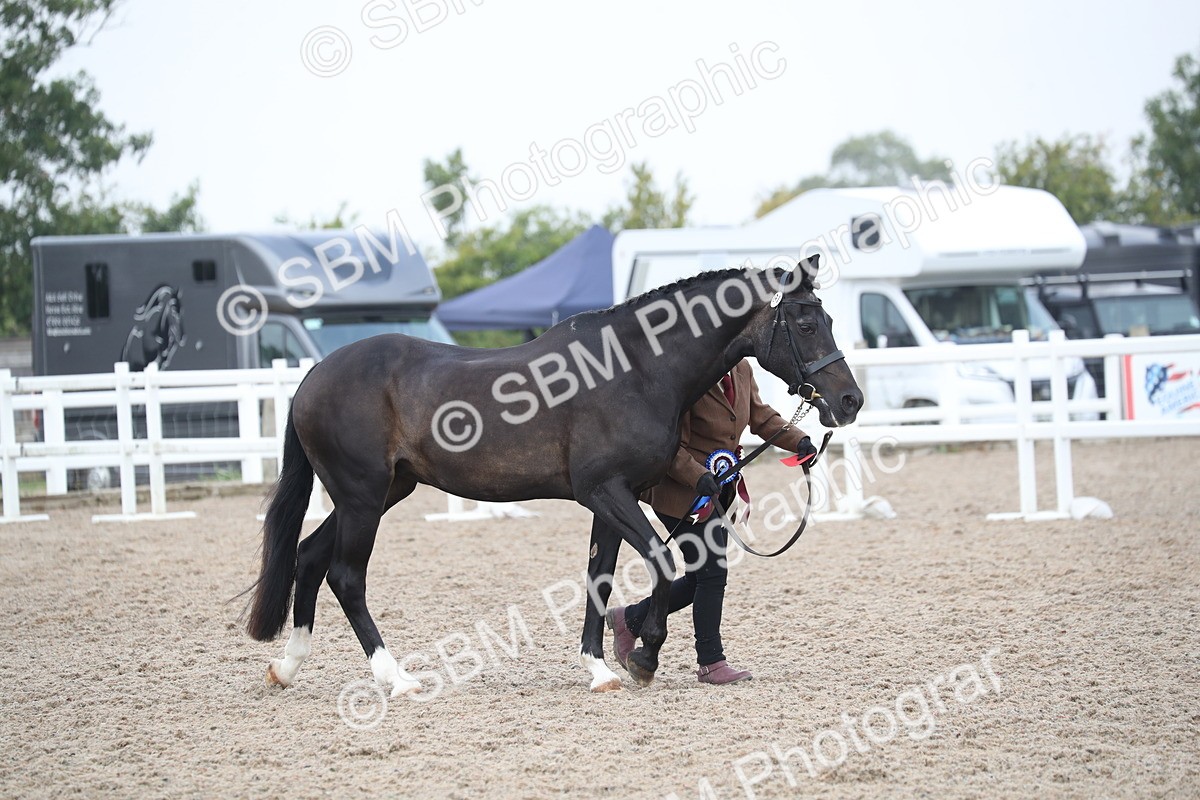 SBM_22607 - Class 604 - 2025 Area - IH Diamond