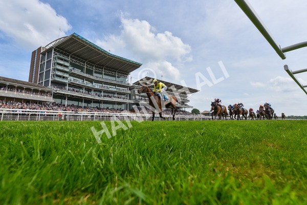170524-Race 2-Botanical-6192 - Race 2 2.45pm Knights Solicitors Handicap
