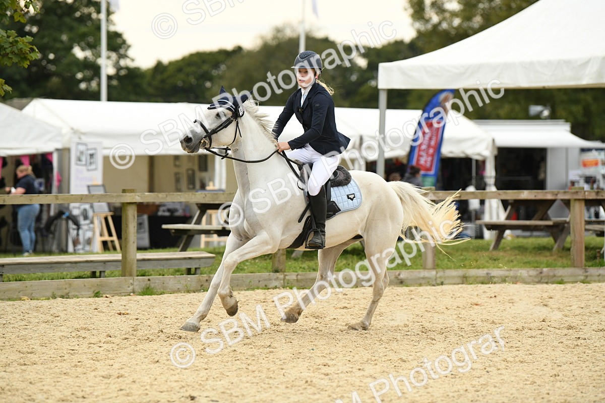 SBM_75792 - Supreme Championship