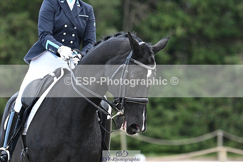 231110-144135-02003 - Cls 8 Medium 75Q