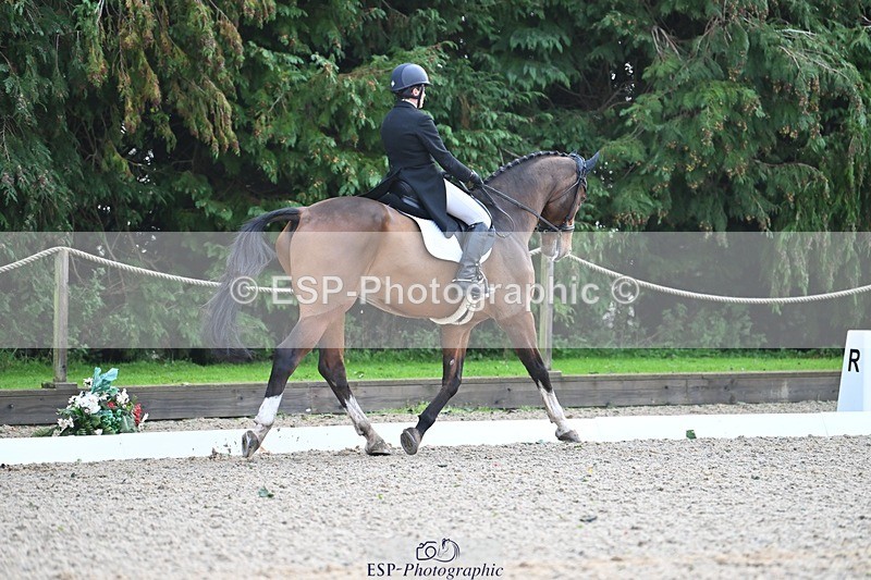 231019-110317-02030 - 105-BRIGHT.KNIGHT.III-Janet.Clarke-DR