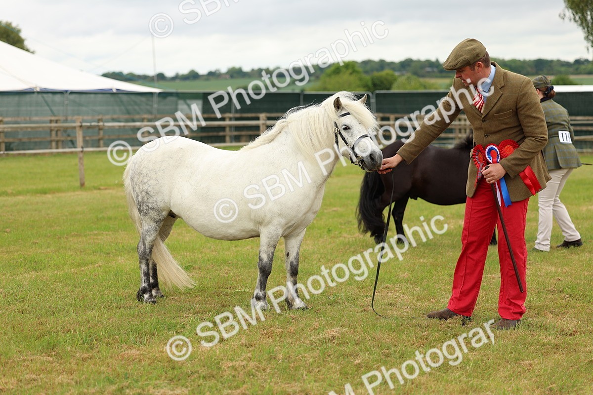 SBM_03525 - Class 58-67 - M&M Non Welsh Pony In hand