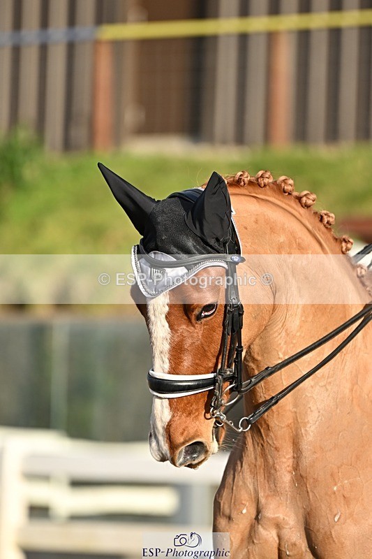 241214-134302-02554 - 112-kelly.jewell-Avalon