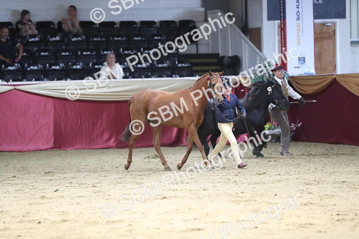 SBM_06500 - Class 9R Regional- IH Pre Vet