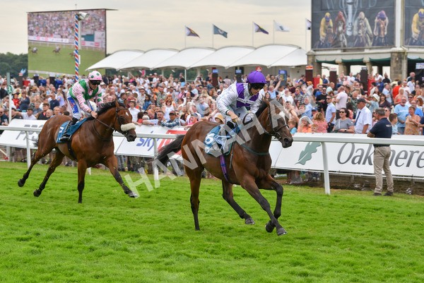 170623-Race 5-Twilight Romance-7182 - Race 5 4.15pm Reg Griffin Appreciation ebfstallions.com Maiden Stakes