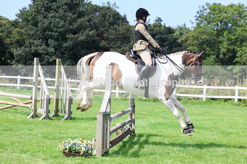 3E7A8608 - Class 5: Working Show Horse