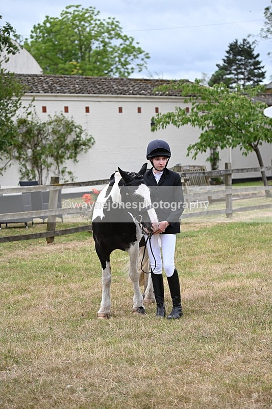 WJ6_4531 - Class 10 Coloured In-hand