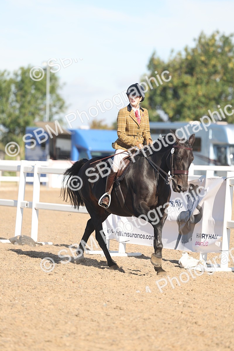 SBM_12318 - Class 304 - Ridden part Bred Horse Pony