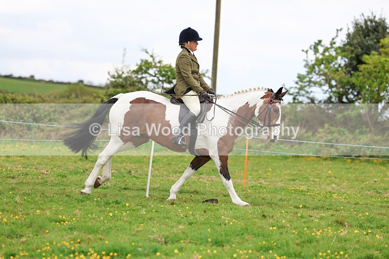 3E7A0974 - Class 6: Ridden Coloured