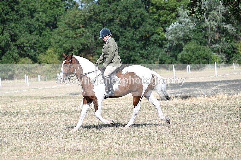 WJ7_2844 - Class 8 Ridden Tack & Turnout