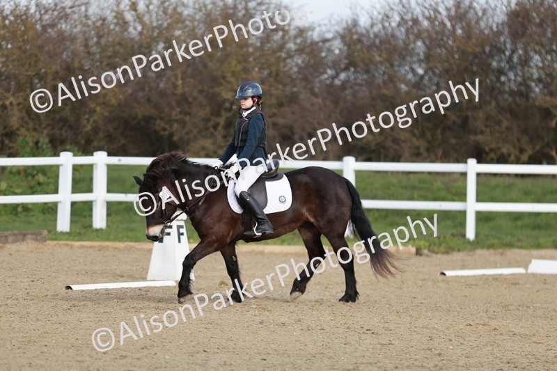 20260314-1086 - DR2 - Intro 3