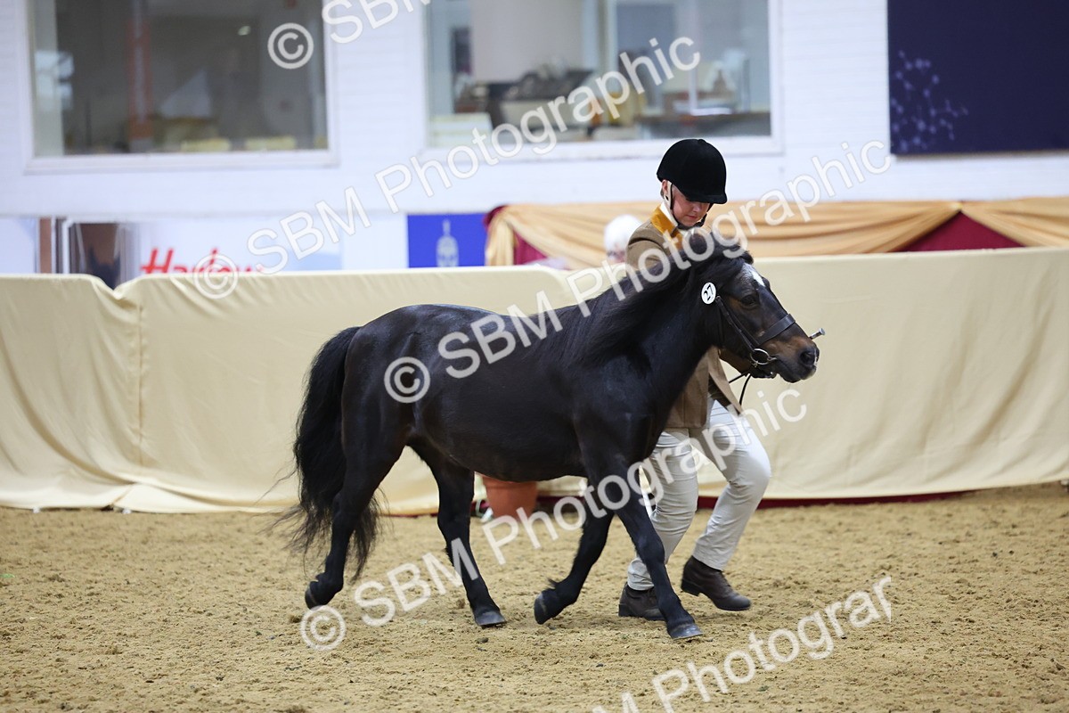 SBM_19679 - Class 901 - Supreme Final - IH Diamond