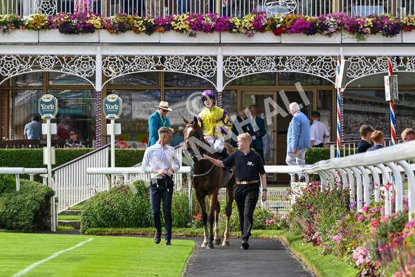 260724-Race 1-Craven-4382 - Race 1 5.30pm eventmasters.co.uk Handicap