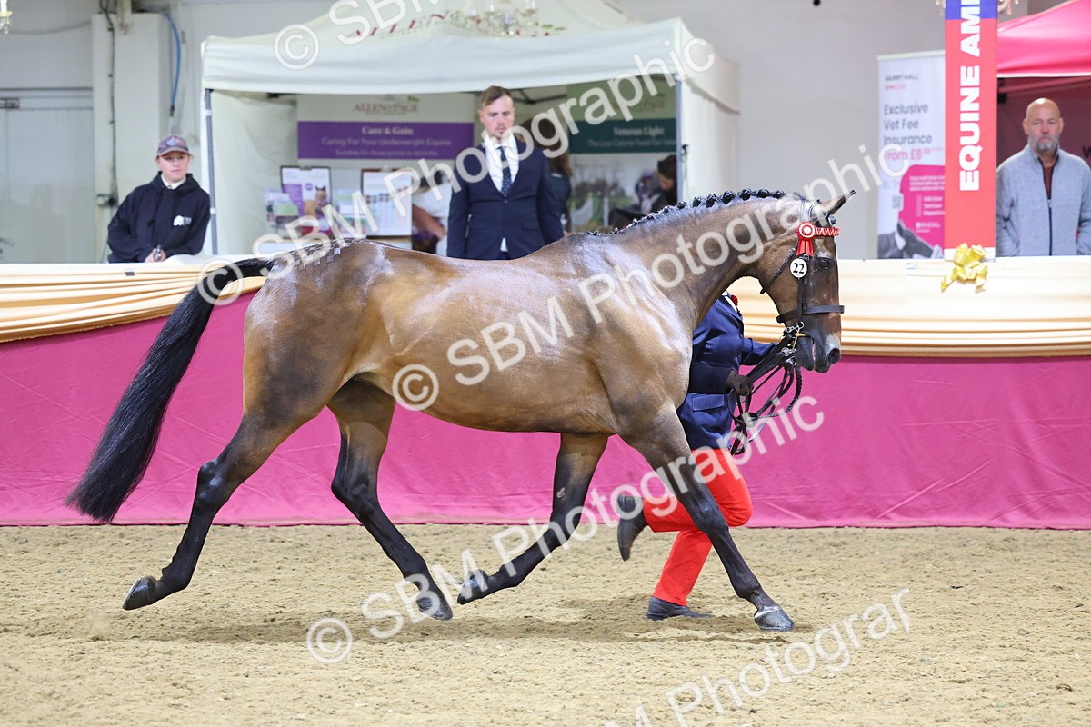 SBM_21017 - Class 902 - Supreme Final IH Veteran