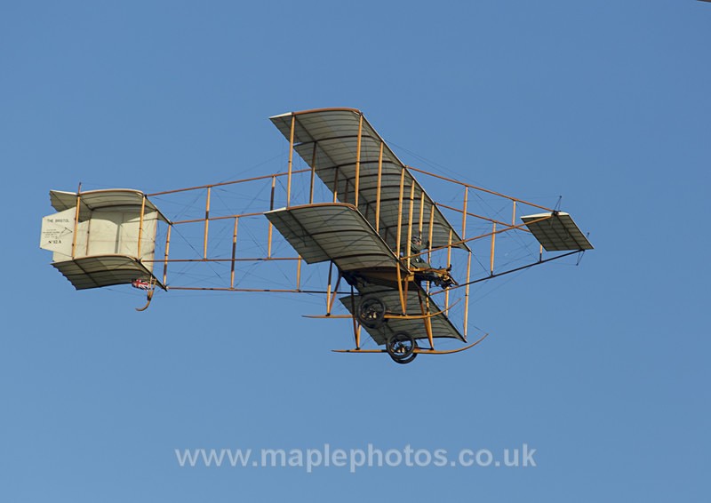 Magnificent Boxkite