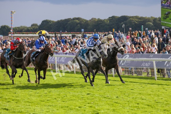 250823-Race 7-Silver Sword-5979 - Race 7 5.15pm Sky Bet Mile Handicap