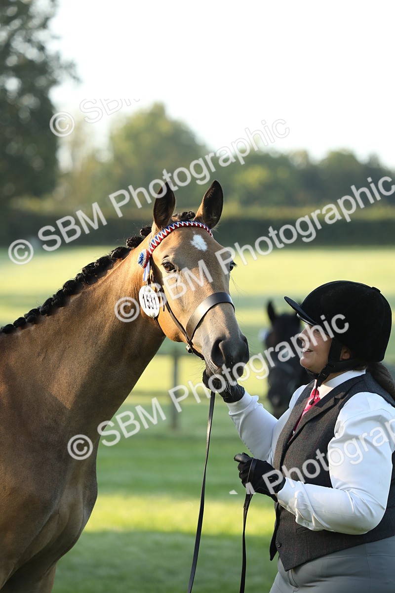 SBM_57848 - S42 - Youngstock