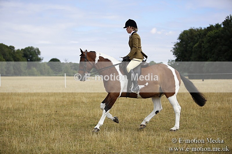 _C7A9545 - BVRC Show 2018 Ring 1