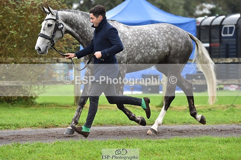 231018-122326-00255 - 032-COOLEY.ROCCO-Ben.Way-TrotUp