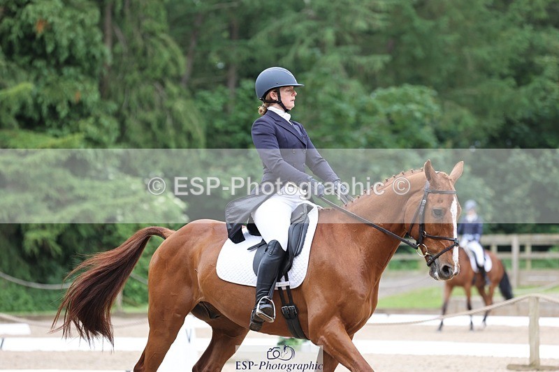 240524-090157-07040 - 251-MILESTONE_GOLD-Gaby_Bull