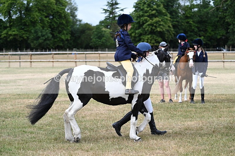 WJ7_9782 - Class 1 Lead Rein Pony