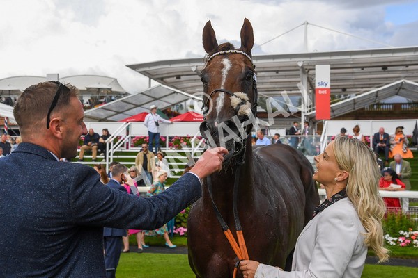 260823-Race 5-Albasheer-1286 - Race 5 Sky Bet Constantine Handicap