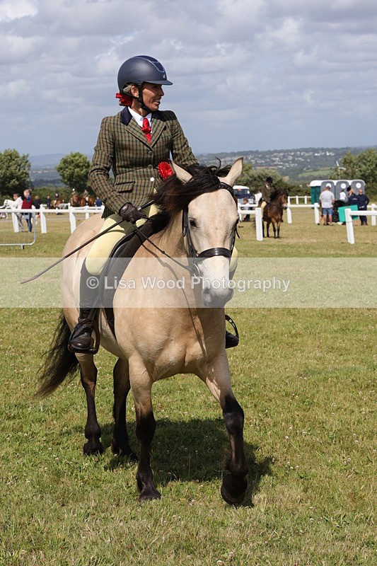 1X9A5563 - Class 38: NPS Novice Ridden Small and Large Breeds