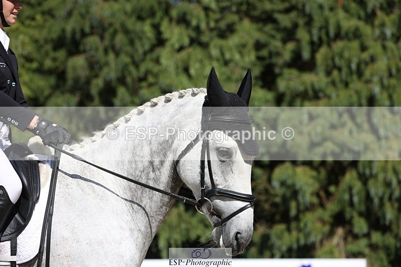 230526-162158-07804 - 170-MIND_OVER_MATTER-Lea_Boulesteix-WEDTrotUp+DR