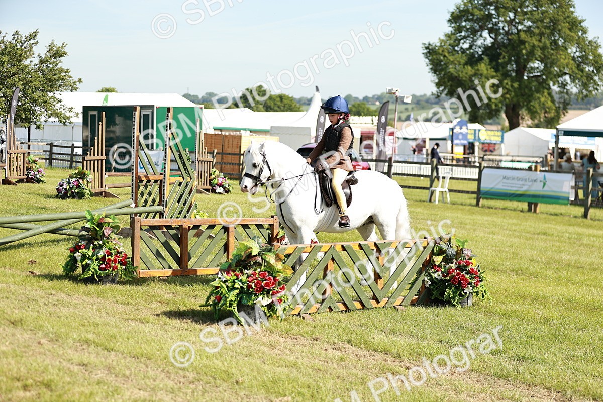 SBM_12637 - Class 106-107 - BSPS LIHS Working Sports Pony