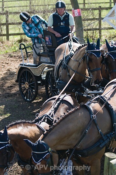 _DSC0194 - Ashfields Carriage & Polo Club