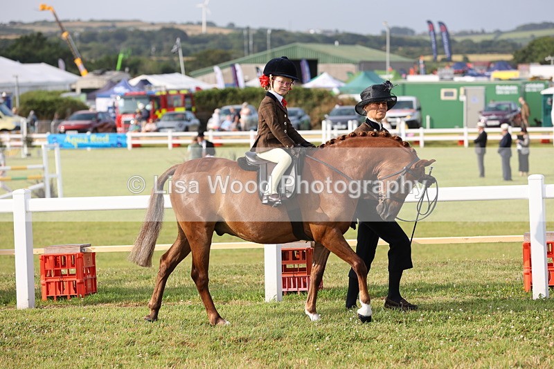 JPP_0167 - Class 14: Cornish Combination Leading Rein