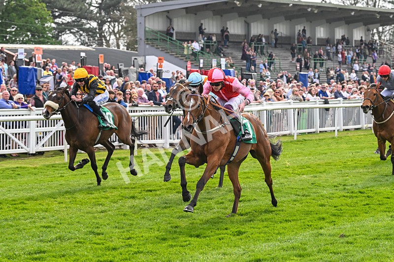 120425-Race 1-Polly Darling-0787 - Race 1