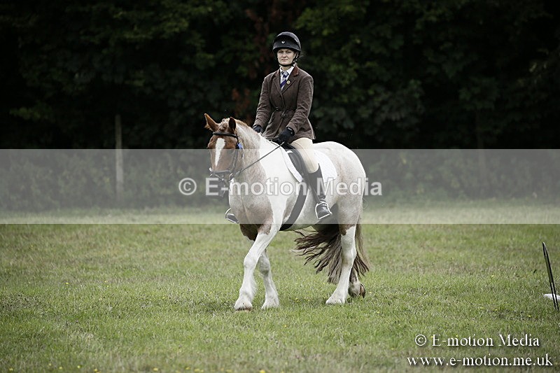 BVR080918 1 - BVRC Novice Dressage & CR 08/09/18