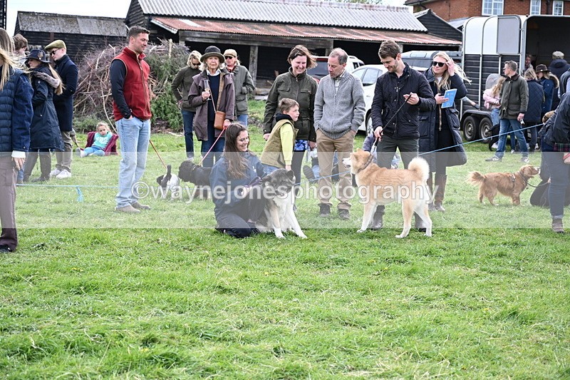 WJ6_8467 - Class 6 Best Rescue