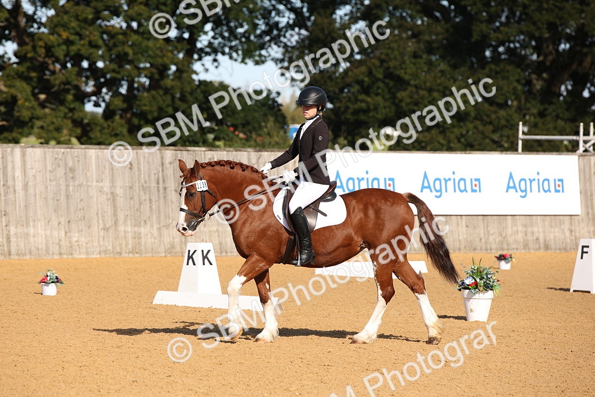 SBM_01912 - D2 Small Tour Championship Intro C