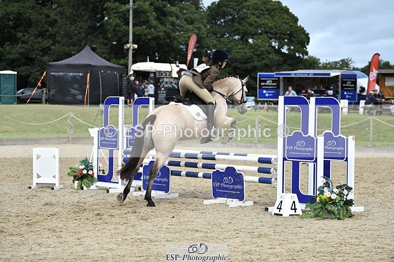 230827-120039-24293 - SJ 11.30 to End