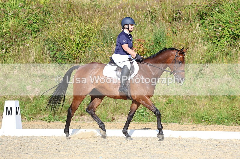 3E7A3558 - Class 2: Intro 1 2024 Section B