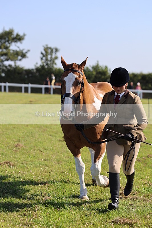 IMG_1449 - Class 29:  Ridden Native/Trad Coloured Horse