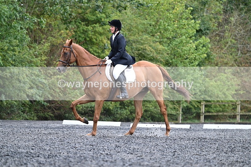 WJ7_7276 - Time 12:53 to 13:18