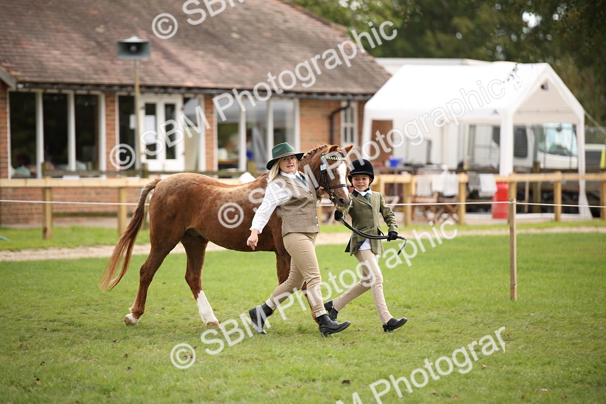 SBM_46322 - S25 - Mature Veteran In Hand